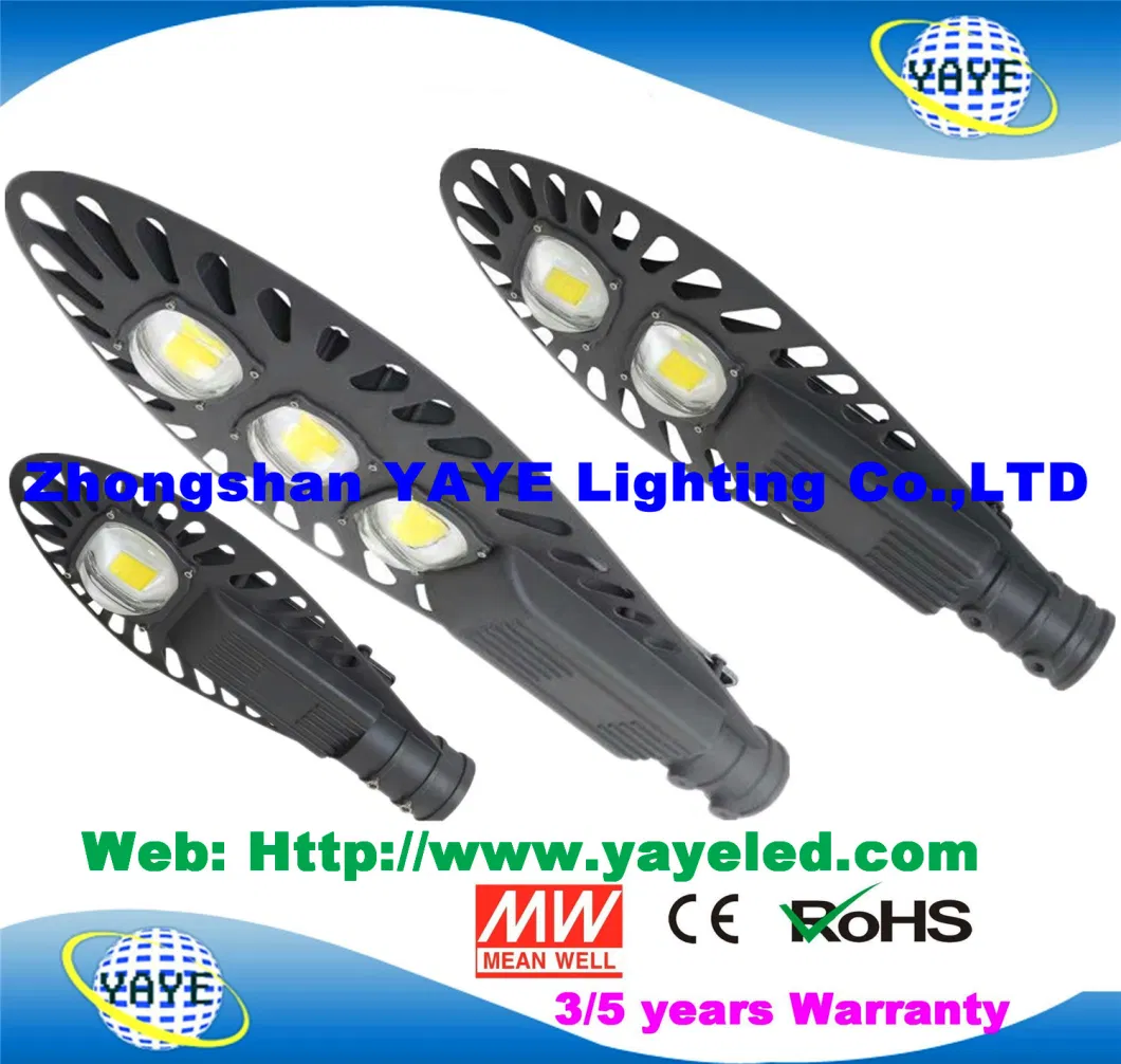 Yaye Hot Sell CE/RoHS 100W/200W/250W/300W/400W/500W/600W/800W/1000W/1500W/ COB SMD Integrated IP67 Outdoor Solar LED Street Road Light with 21 Years Production